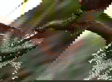 运动传感器芯片开发